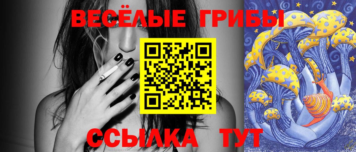 Псилоцибиновые грибы мицелий  Вход с VPN  Псилоцибиновые грибы мицелий  купить  сайты  Чапаевск 